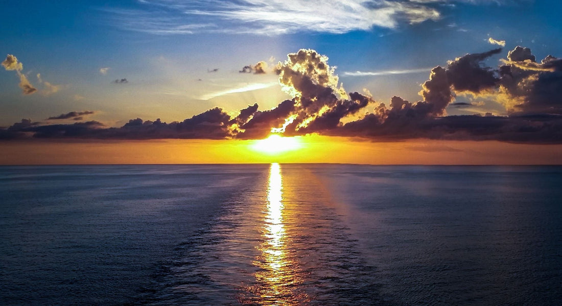 Greener Horizons: How the Cruise Industry is Sailing Toward Sustainability